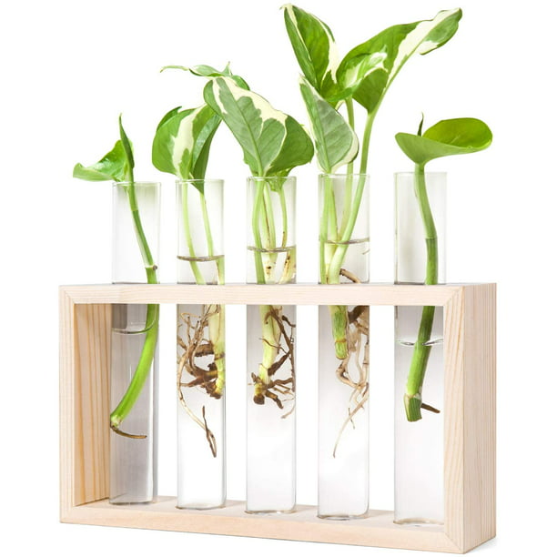 Clear Glass Tube Flower Pot Hydroponic Plant Vase Terrarium Container Home Decor 